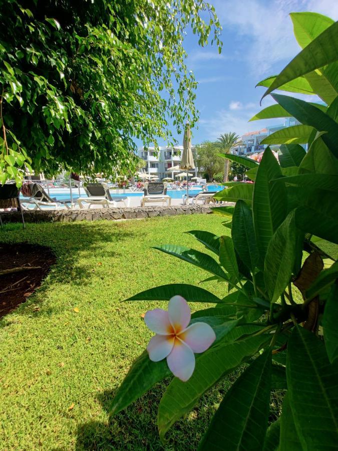 Private Apartment 150 Hg Tenerife Sur ลอส กริสเตียนอส ภายนอก รูปภาพ